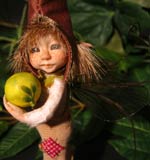 Pixie Danny and wild Apple Gallery